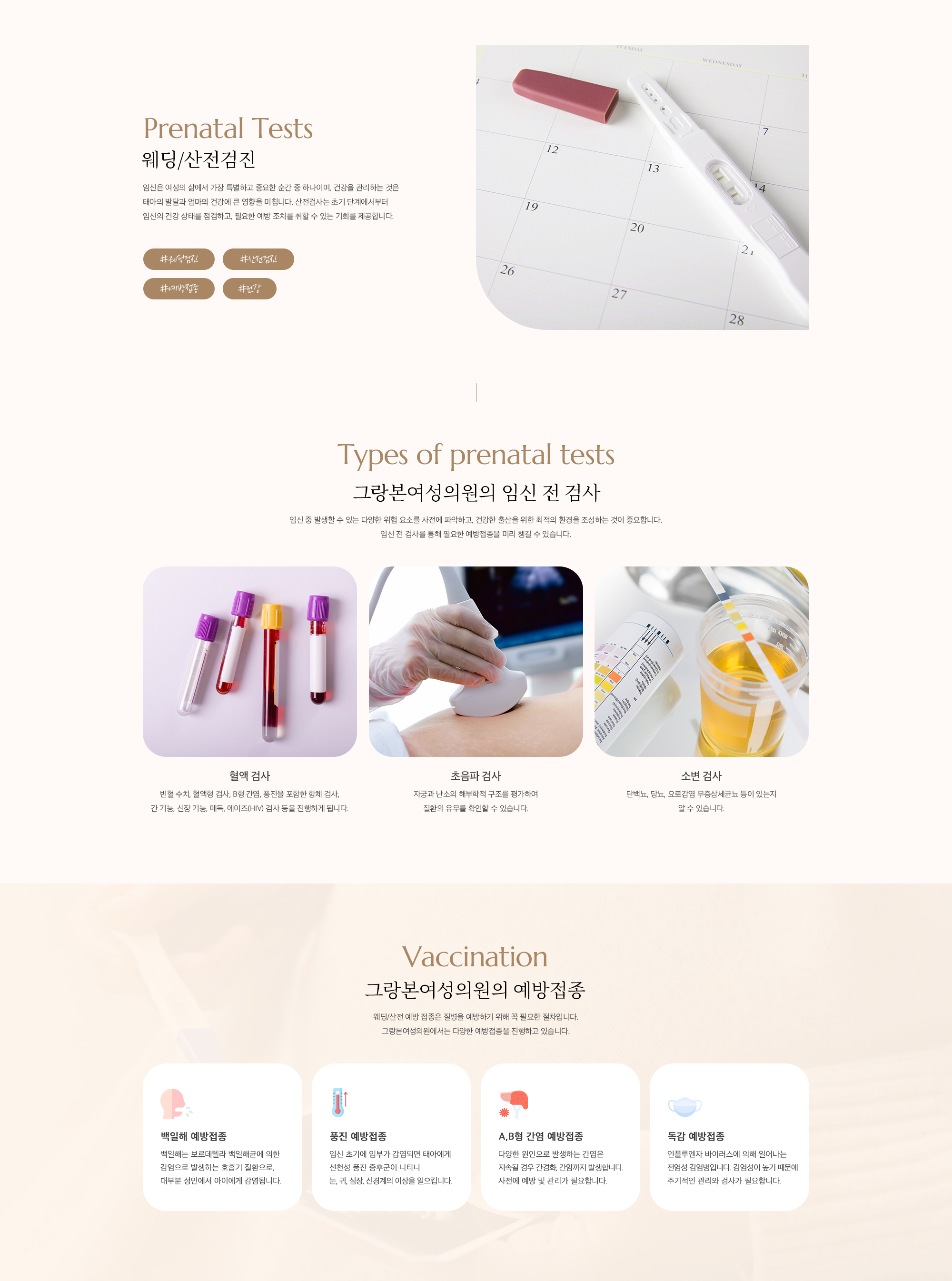 웨딩/산전 검진